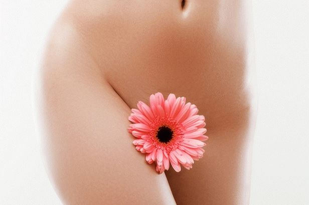 klasszikus bikini shugaring
